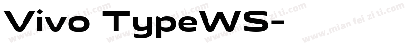 Vivo TypeWS字体转换